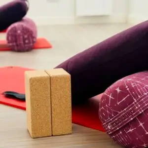 Formation au yoga restauratif par Holy Forest Academy